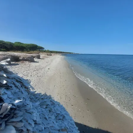 Conchiglia House 100mt From The Beach