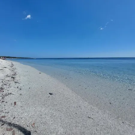 Conchiglia House 100mt From The Beach