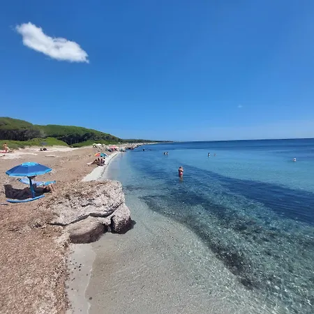 Conchiglia House 100mt From The Beach *